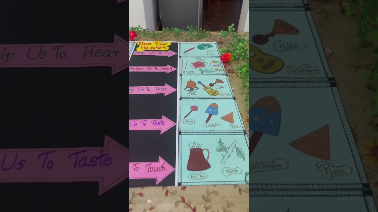 Chart ideas for five sense organs