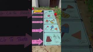 Chart ideas for five sense organs#fivesenses #senseorgan #charts #youtubeshorts