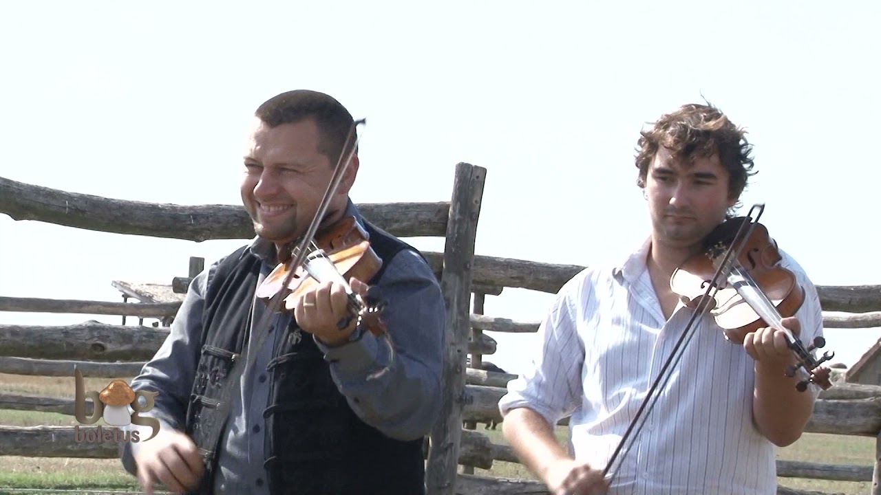 Bakator - A juhásznak jól van dolga