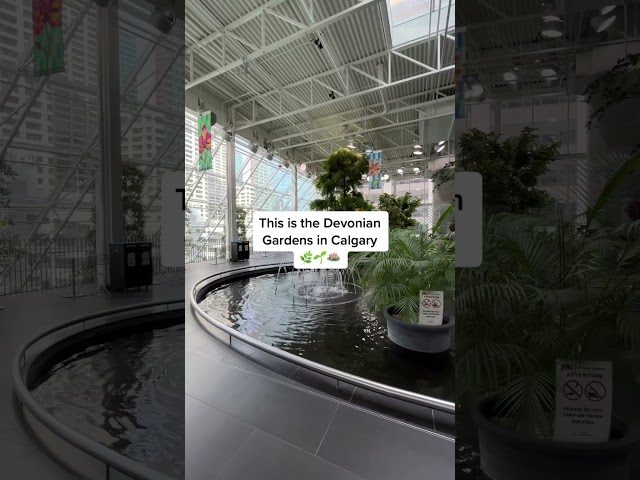 everyone knows the Devonian gardens in Calgary🌱 #yyc #calgary #travel #yycsociables