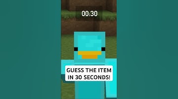 Guess the Skyblock Item in 30 seconds! #hypixel #skyblock #minecraft #shorts