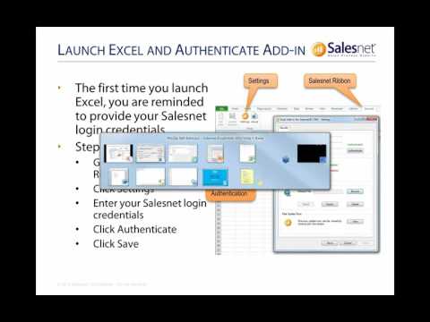 Excel Add-in for Salesnet CRM