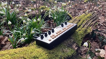 Organelle S // Dungeonsynth Spring Jam