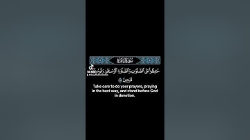 حـٰفظوا على الصّلو ٰت #القارئ #الشيخ #ياسر_الدوسري #راحة_نفسية #quran