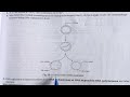 Prokaryotic replication in prokaryotes msc zoology 1st semester University exam 2026