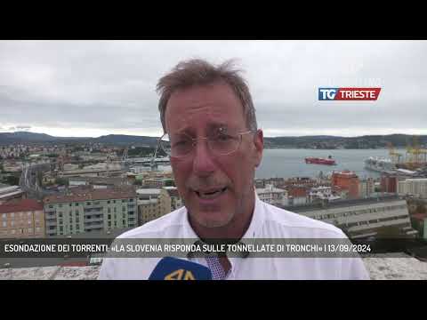 ESONDAZIONE DEI TORRENTI: «LA SLOVENIA RISPONDA SULLE TONNELLATE DI TRONCHI» | 13/09/2024