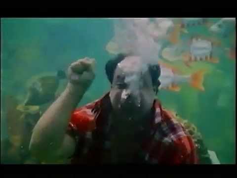 Langnese Werbung 1995