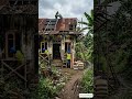 Amazing Village House Yard Transformation | Fence & Pathway Renovation Timelapse