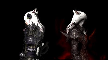 DARK KNIGHT JOB QUEST IS ABSOLUTE CINEMA