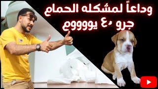 كيفيه وطريقه تدريب الكلب وجرو ٤٥ يوم علي الحمام (التواليت)بكل سهوله