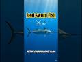 This Fish Uses a Sword ? And Hunting