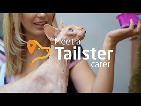 Making money from a love of pets | Meet a Tailster carer: Ruby