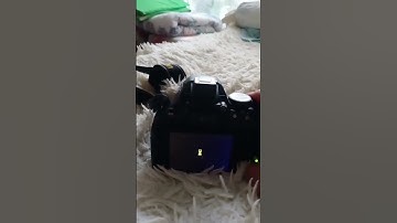 фотик сдох #android #linux #tecnospark9 #ошибка #error #nocommand #tb #windows #фотоаппарат