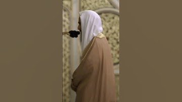 { إنا رادوه إليك وجاعلوه من المرسلين } ترتيل بديع من سورة القصص || أحمد طالب حميد