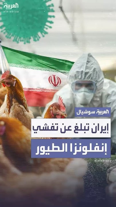           
 - نشر قبل 2 ساعة