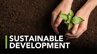Sustainable risk assessment and remediation