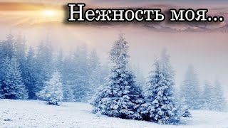 Премьера песни!!! Николай Джинчарадзе. Нежность моя... (написана до 2017 г.)