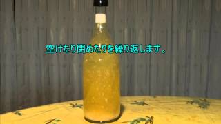 寺田本家　発芽玄米酒　むすひ　開封・ガス抜き方法　字幕あり
