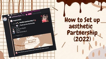˚ ༘♡ ⋆｡˚ Set up aesthetic partnership using Luminous bot (EASY IN JUST 6 MINS) (UPDATED 2022)