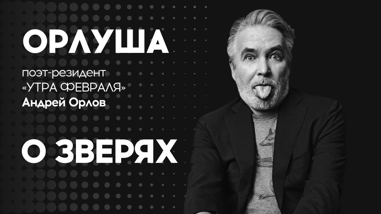 СТИХИ ОРЛУШИ: О зверях - YouTube