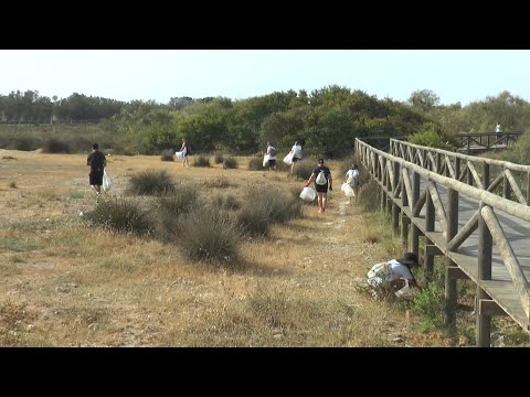 `En el fondo depende de ti´. Jornada de voluntariado de limpieza de las playas de Chipiona