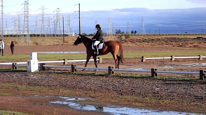 November Ram Tap '10 - Training Dressage