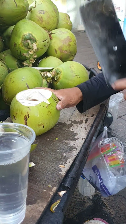 Coconut: The Most Versatile Food on Earth