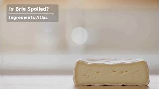 How to Tell If Brie Has Gone Bad | Ingredients Atlas | Food Safety | Brie spoilage | cheese mould