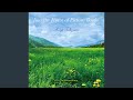 Into the Forest of Picture Books: No. 5, The Ball in Moonlit Forest