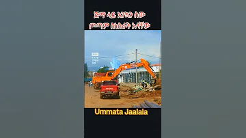 Sirba Jimmaa 