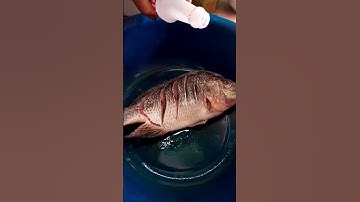 Thumbnail of Ikan Mujair Panggang Teflon #feedshorts #shorts #short #dapurmamaperiuk