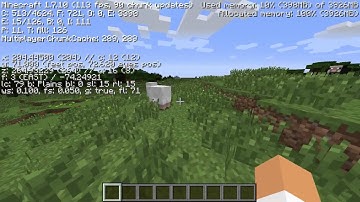 AMD FX 8320 - Minecraft Benchmark Test (Radeon R9 270)