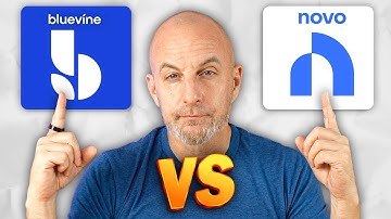 Bluevine vs Novo | Which Business Banking App Is Right for You?