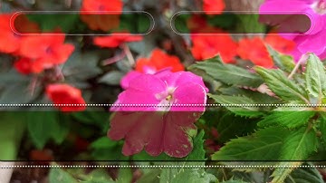 قالب احترافي للمونتاج القرآن الكريم بدون حقوق