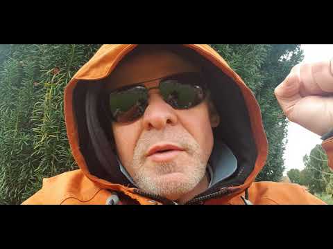 inspector clauso globe