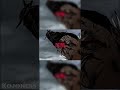 Ryu Edit - Jane! - The Long Faces #meme #edit #anime #jjkgame #memes #jujutsukaisenedit #edits