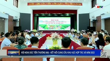 Hội nghị xúc tiến thương mại kết nối cung cầu khu vực kinh tế hợp tác, HTX tỉnh Nghệ An năm 2022