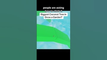 Biggest Tree in Grow a Garden? 🌴 #shorts