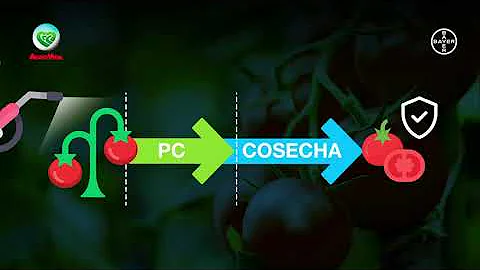 O que é período de carência quando se trata de defensivos agrícolas?