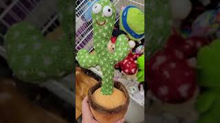 dancing cactus sings polish cow song