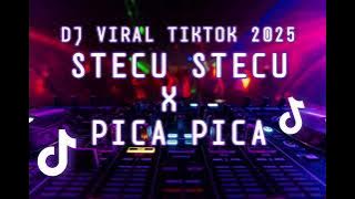 DJ STECU STECU X PICA PICA 🎶🎵 DJ VIRAL TIKTOK 2025