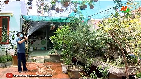 Sức sống mới trên những Khu dân cư nông thôn mới kiểu mẫu ở Yên Khánh