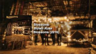 Blossoms - Blown Rose