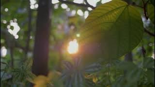 FILM SHORT| CINEMATOGRAPHY 1 MENIT