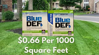 The World's Cheapest Liquid Fertilizer!