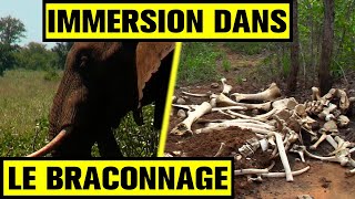 IMMERSION dans la LUTTE contre les BRACONNIERS