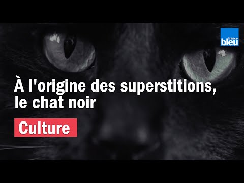 Vidéo: Chat Noir : Signes Et Superstitions