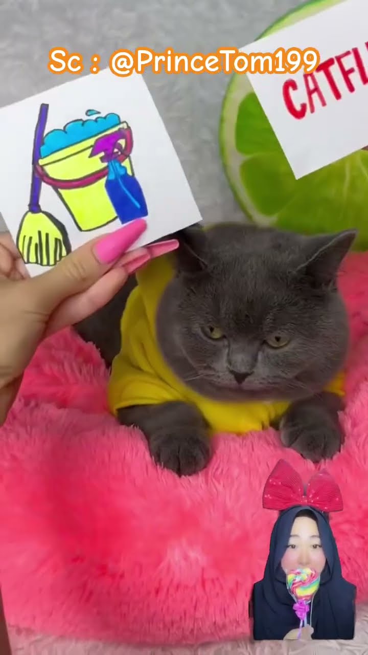 KUCING TOM GAK MAU BERSIH BERSIH ⁉️? @PrinceTom199 #shorts #funny #dubbing