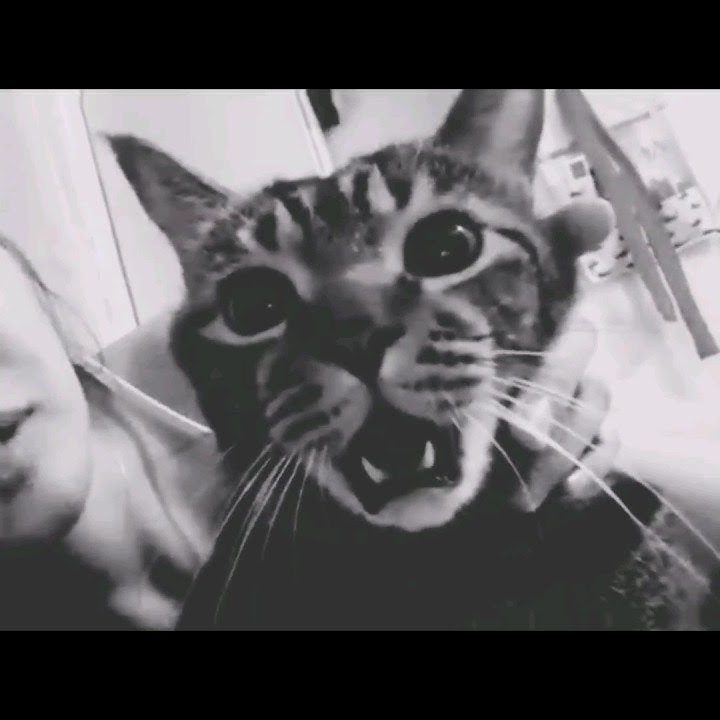 #viral  #meme #astaghfirullah