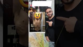 transformation fitness  جسم فتنس